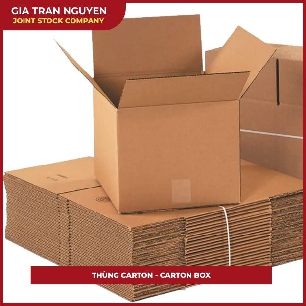 thùng carton - carton box (2)