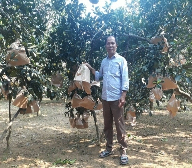 Túi bao trái cho quả cam. Ảnh: Nhóm nghiên cứu